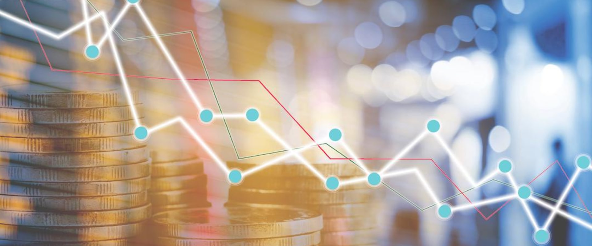 The Impact of Organizations on the Local Economy of Contra Costa County, CA