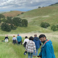 Discovering the Vibrant Organizations in Contra Costa County, CA