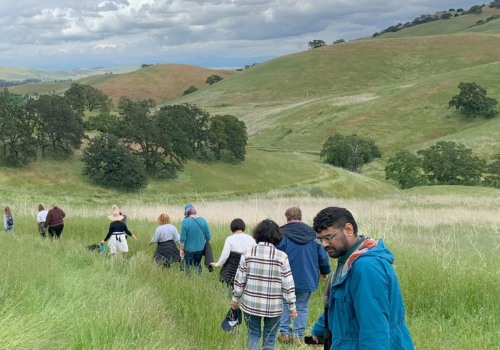 Discovering the Vibrant Organizations in Contra Costa County, CA